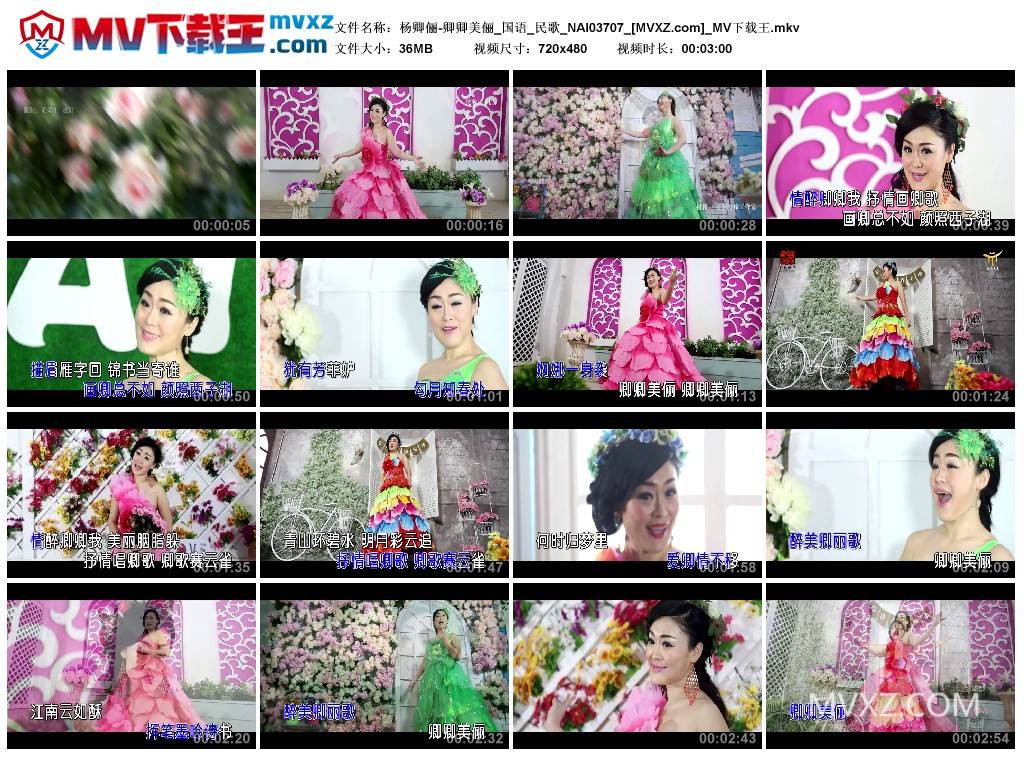 杨卿俪-卿卿美俪_国语_民歌_NAI03707